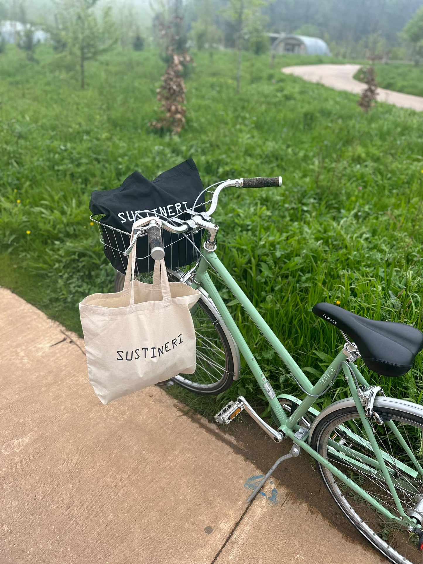 Natural Canvas Tote